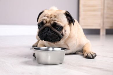 Cute pug dog suffering from heat stroke near bowl of water on floor at home Photo of Cute pug dog suffering from heat stroke near bowl of water on floor at home