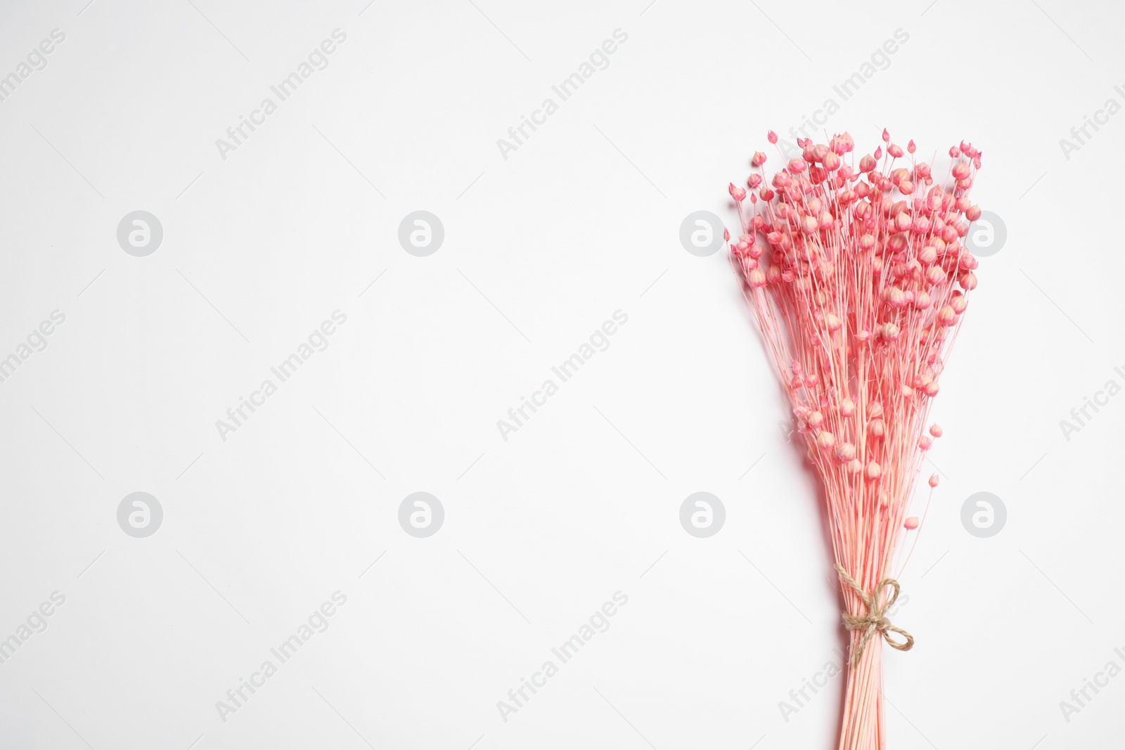 Bunch of beautiful dried flowers on white background, top view Photo of Bunch of beautiful dried flowers on white background, top view