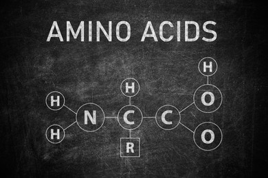 Text AMINO ACIDS and chemical formula written on blackboard Illustration of Text AMINO ACIDS and chemical formula written on blackboard