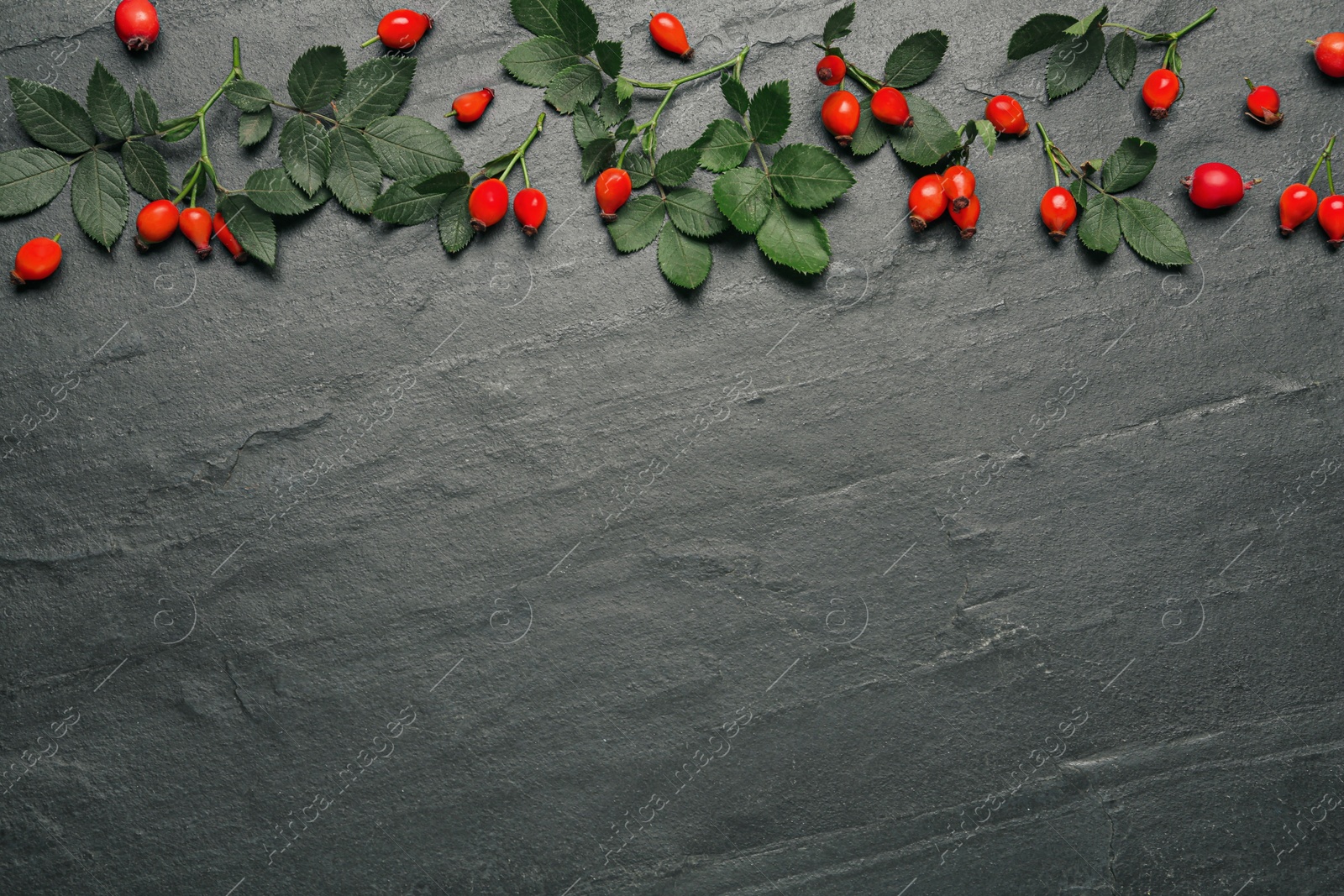 Ripe rose hip berries with green leaves on black table, flat lay. Space for text Photo of Ripe rose hip berries with green leaves on black table, flat lay. Space for text