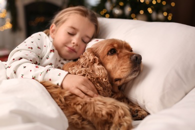 Cute little girl and her English Cocker Spaniel lying in bed at home decorated with Christmas lights Photo of Cute little girl and her English Cocker Spaniel lying in bed at home decorated with Christmas lights