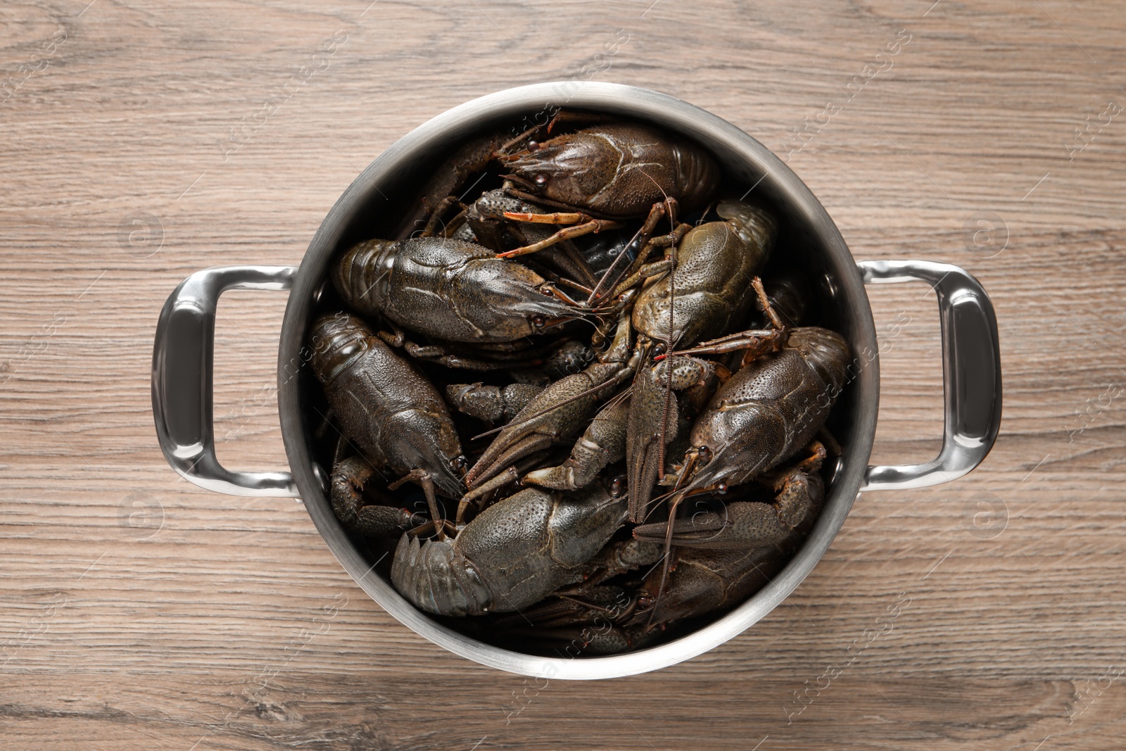 Fresh raw crayfishes in pot on wooden table, top view Photo of Fresh raw crayfishes in pot on wooden table, top view