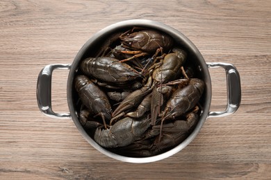 Fresh raw crayfishes in pot on wooden table, top view Photo of Fresh raw crayfishes in pot on wooden table, top view