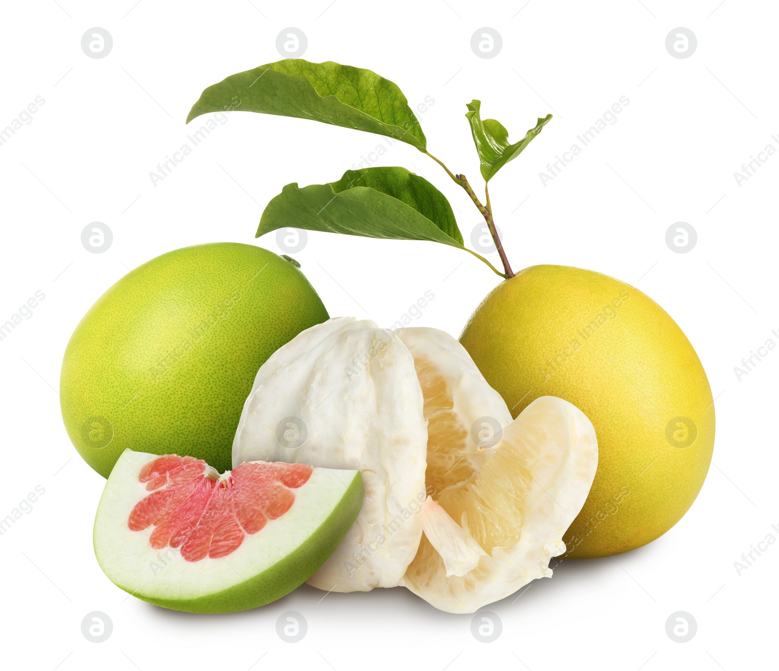 Cut and whole fresh pomelo fruits on white background Image of Cut and whole fresh pomelo fruits on white background