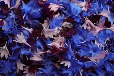 Photo of Beautiful colorful cornflowers petals as background, top view