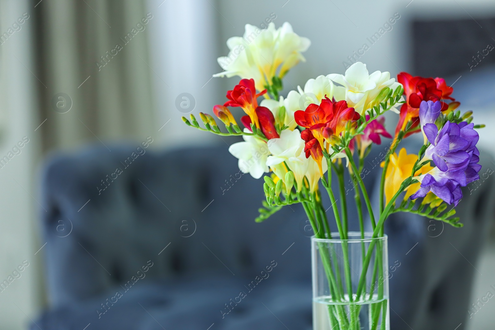 Beautiful bouquet with freesia flowers indoors Photo of Beautiful bouquet with freesia flowers indoors