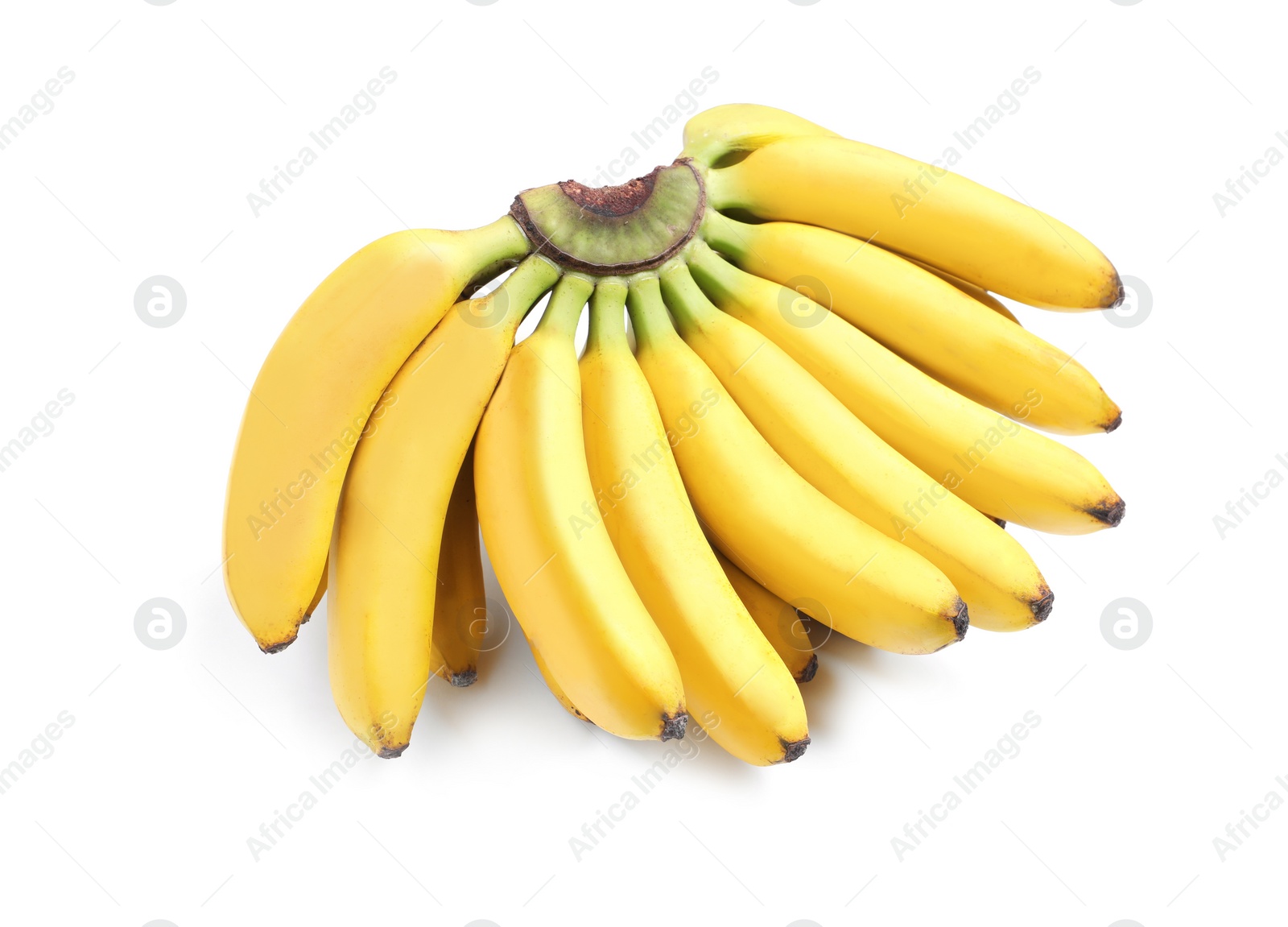 Bunch of ripe baby bananas on white background Photo of Bunch of ripe baby bananas on white background