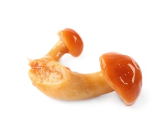 Tasty marinated honey fungus mushrooms on white background Photo of Tasty marinated honey fungus mushrooms on white background