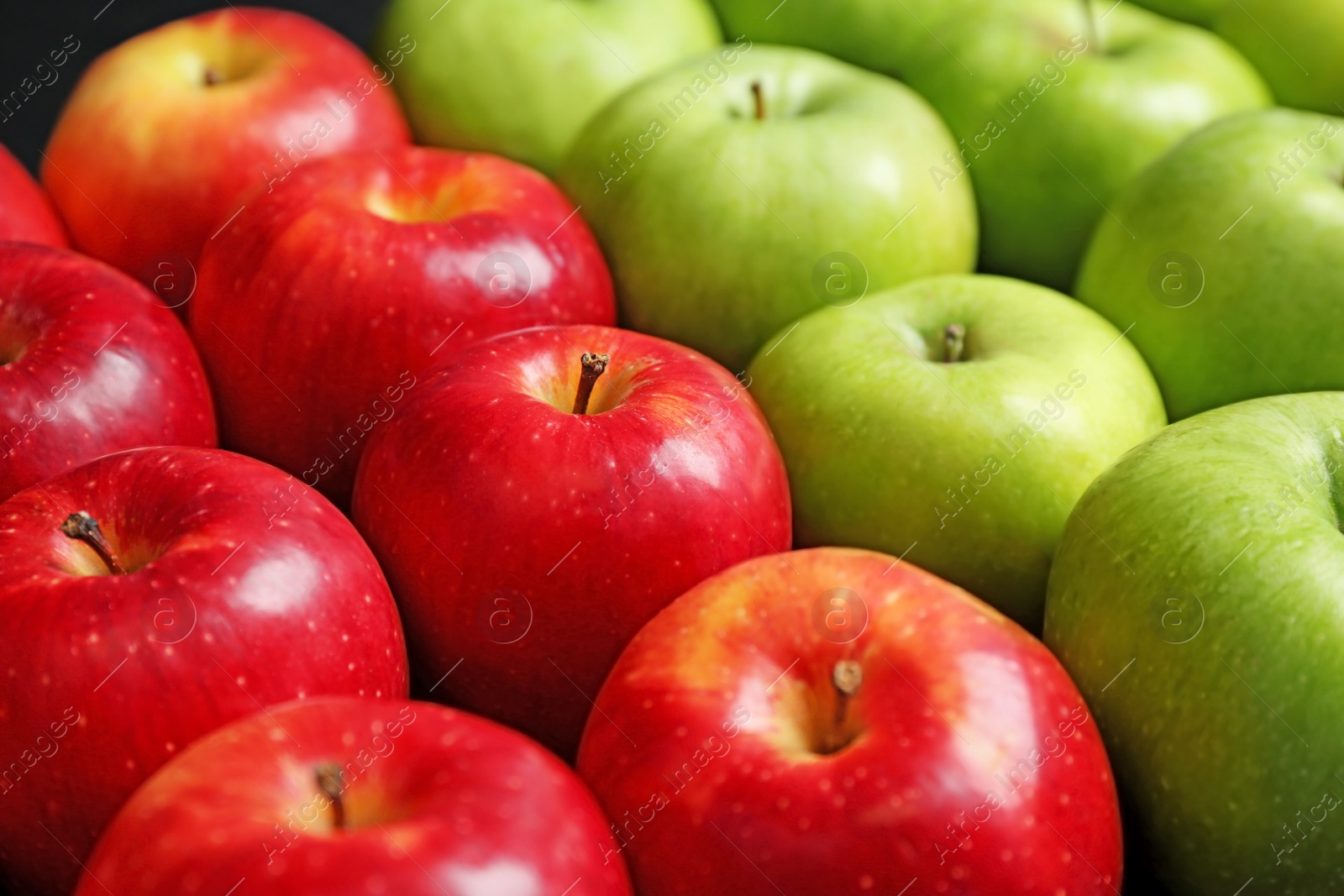 Fresh green and red apples, closeup Photo of Fresh green and red apples, closeup