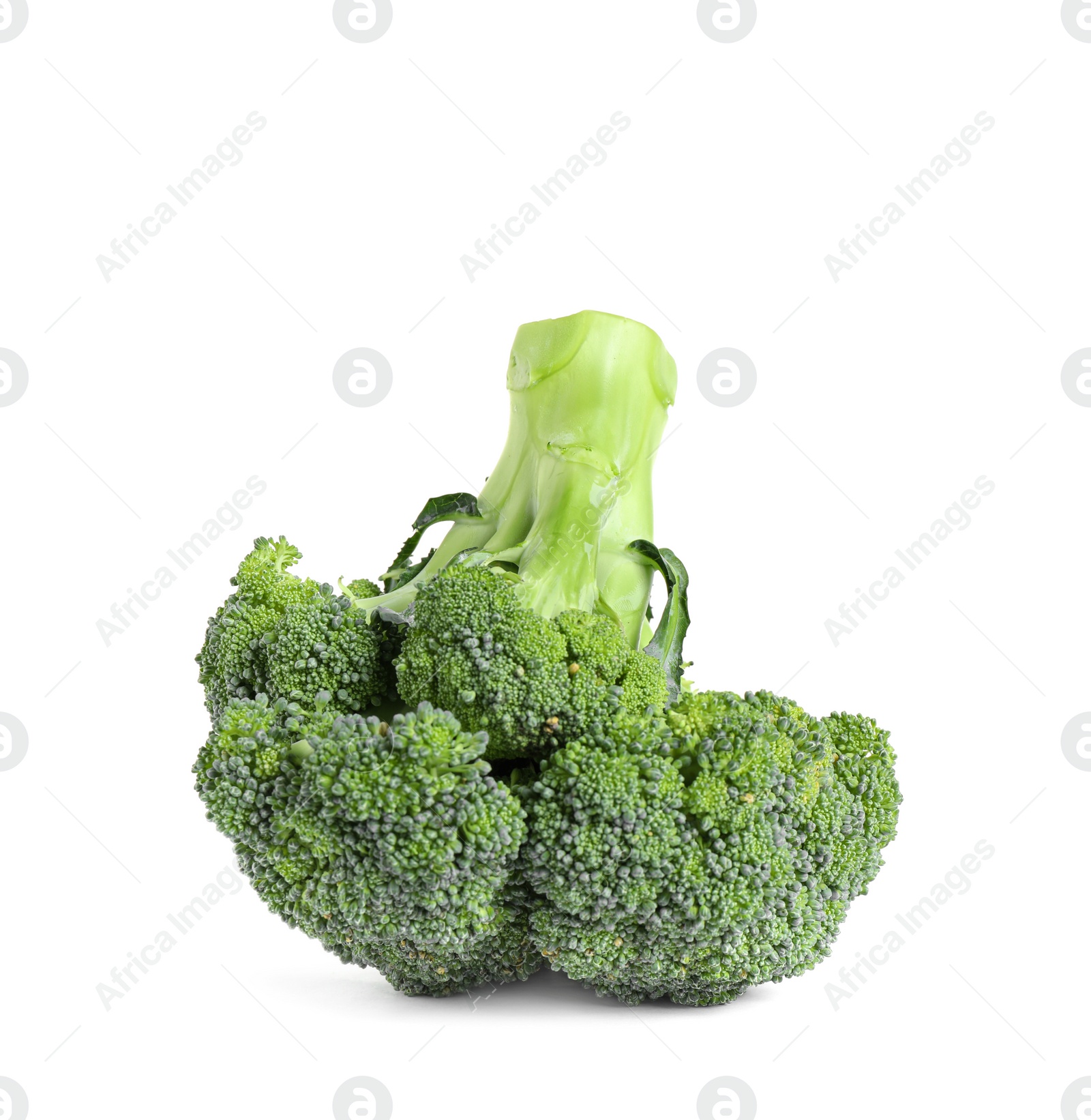 Fresh green raw broccoli on white background Photo of Fresh green raw broccoli on white background