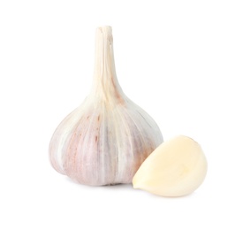 Fresh organic garlic bulb and clove on white background Photo of Fresh organic garlic bulb and clove on white background
