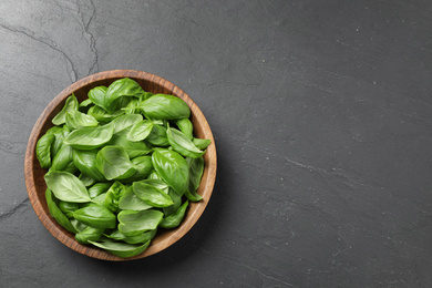 Fresh basil on grey table, top view. Space for text Photo of Fresh basil on grey table, top view. Space for text