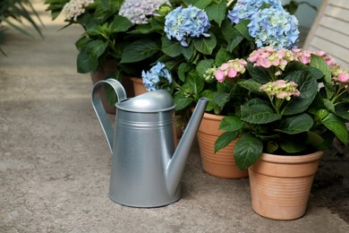 Watering can and beautiful blooming hortensia plants in pots outdoors Photo of Watering can and beautiful blooming hortensia plants in pots outdoors