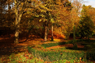 Beautiful park with yellowed trees and wooden benches Photo of Beautiful park with yellowed trees and wooden benches