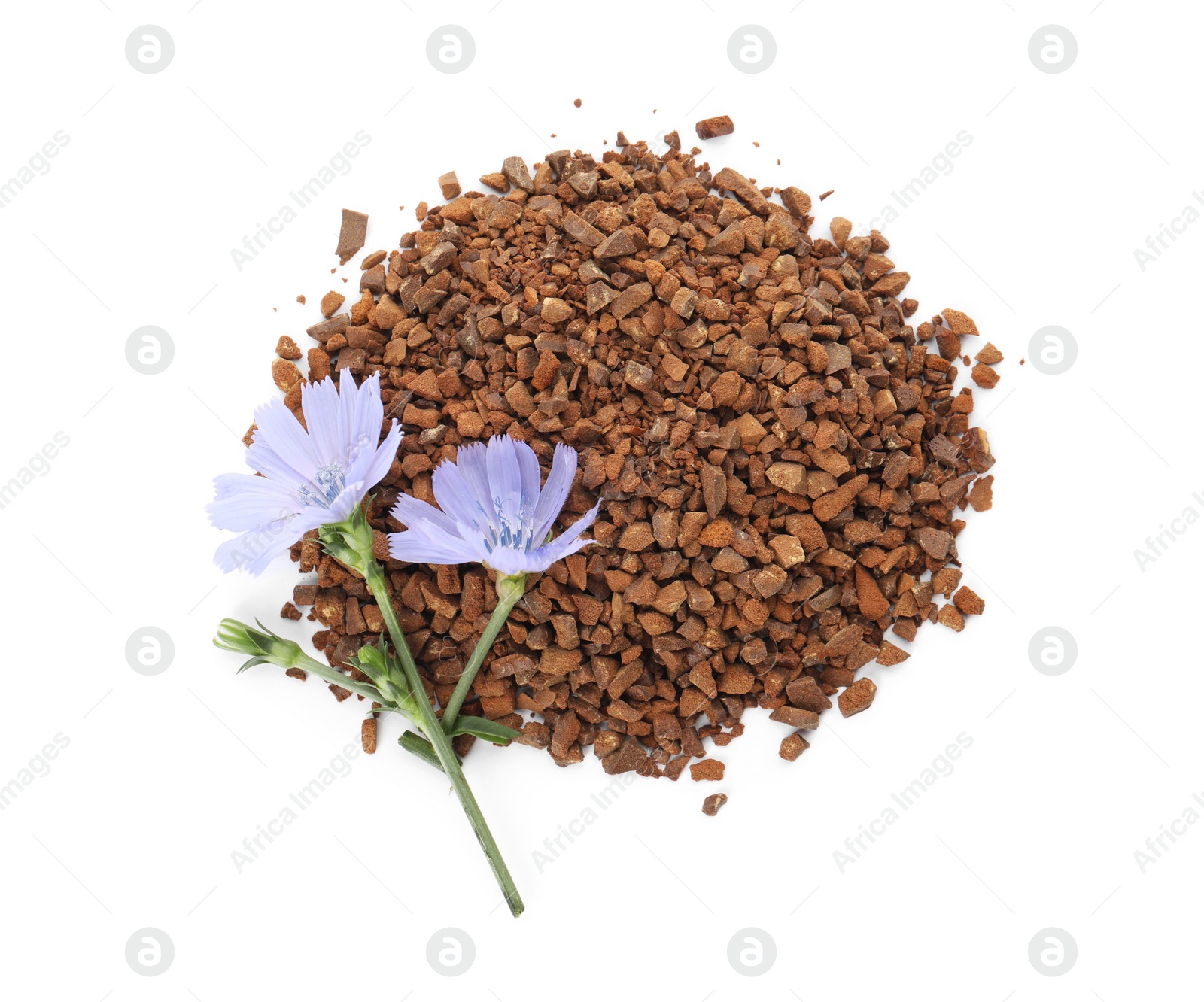 Pile of chicory granules and flowers on white background, top view Photo of Pile of chicory granules and flowers on white background, top view