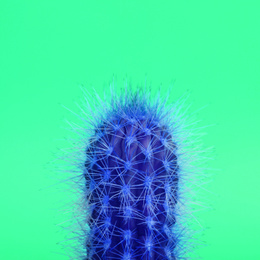 Image of Beautiful bright cactus on green background, closeup