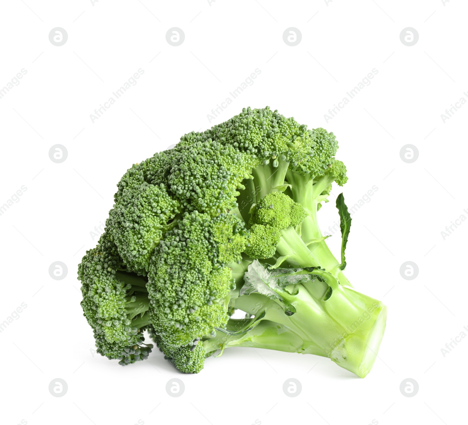 Fresh green raw broccoli on white background Photo of Fresh green raw broccoli on white background