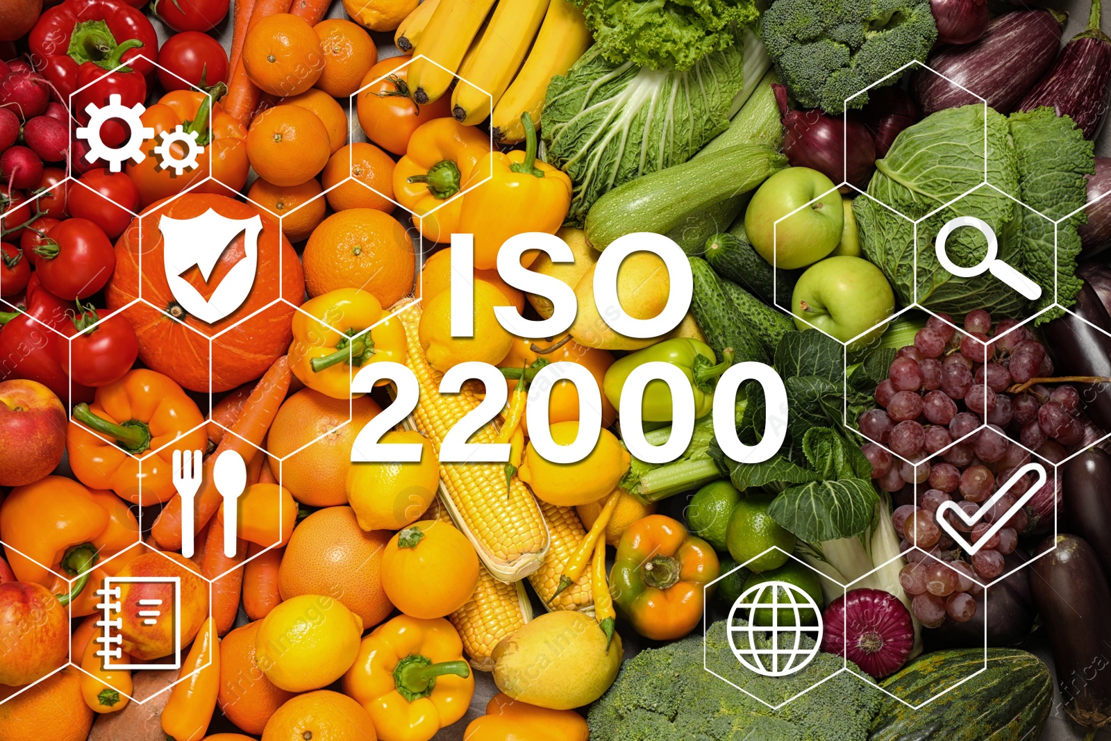 ISO 22000 - Food safety management. Assortment of organic fresh fruits and vegetables as background, top view Image of ISO 22000 - Food safety management. Assortment of organic fresh fruits and vegetables as background, top view