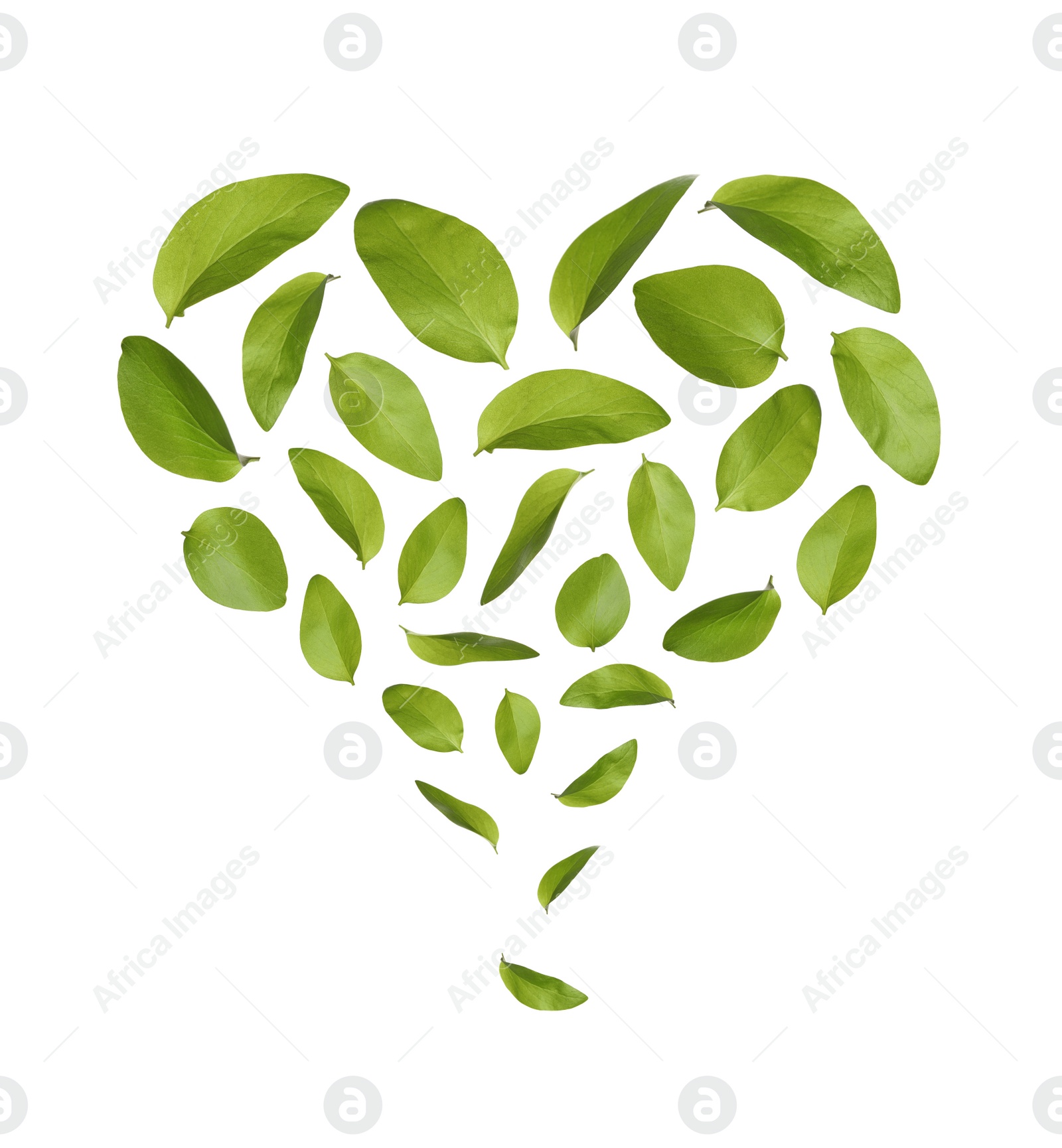 Beautiful fresh green leaves flying on white background, collage Image of Beautiful fresh green leaves flying on white background, collage
