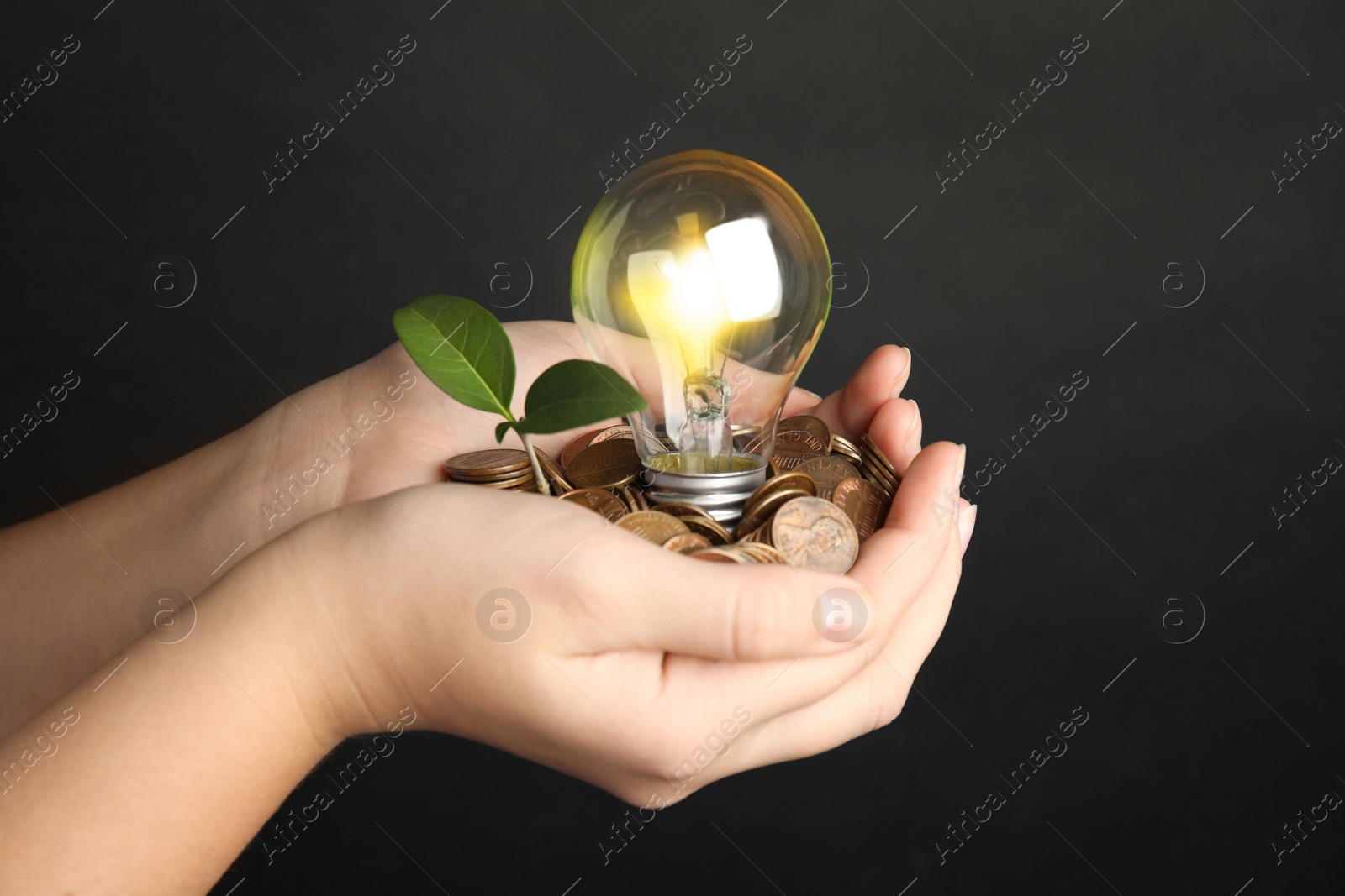 Woman with coins, light bulb and green plant against black background, closeup. Power saving Photo of Woman with coins, light bulb and green plant against black background, closeup. Power saving
