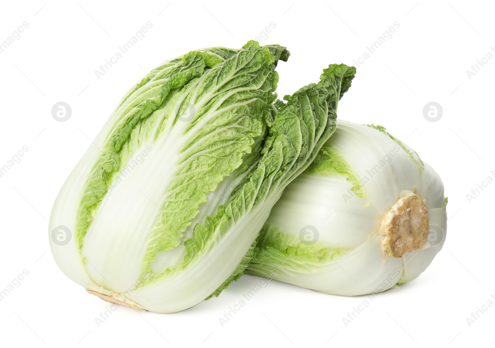 Fresh ripe Chinese cabbages on white background Photo of Fresh ripe Chinese cabbages on white background