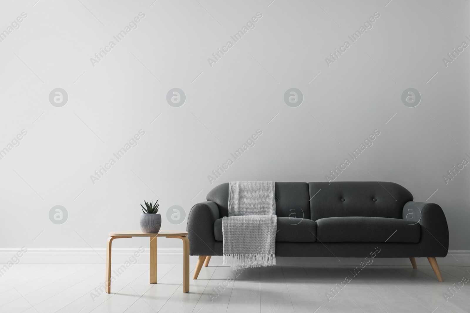 Stylish living room interior with comfortable grey sofa and beautiful plant Photo of Stylish living room interior with comfortable grey sofa and beautiful plant