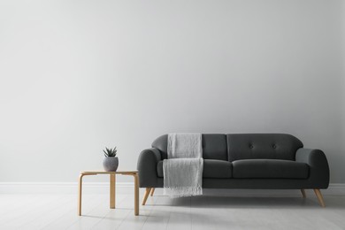 Stylish living room interior with comfortable grey sofa and beautiful plant Photo of Stylish living room interior with comfortable grey sofa and beautiful plant