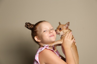 Little girl with her Chihuahua dog on grey background. Childhood pet Photo of Little girl with her Chihuahua dog on grey background. Childhood pet
