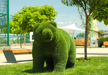 Beautiful bear shaped topiary at zoo on sunny day. Landscape gardening Photo of Beautiful bear shaped topiary at zoo on sunny day. Landscape gardening