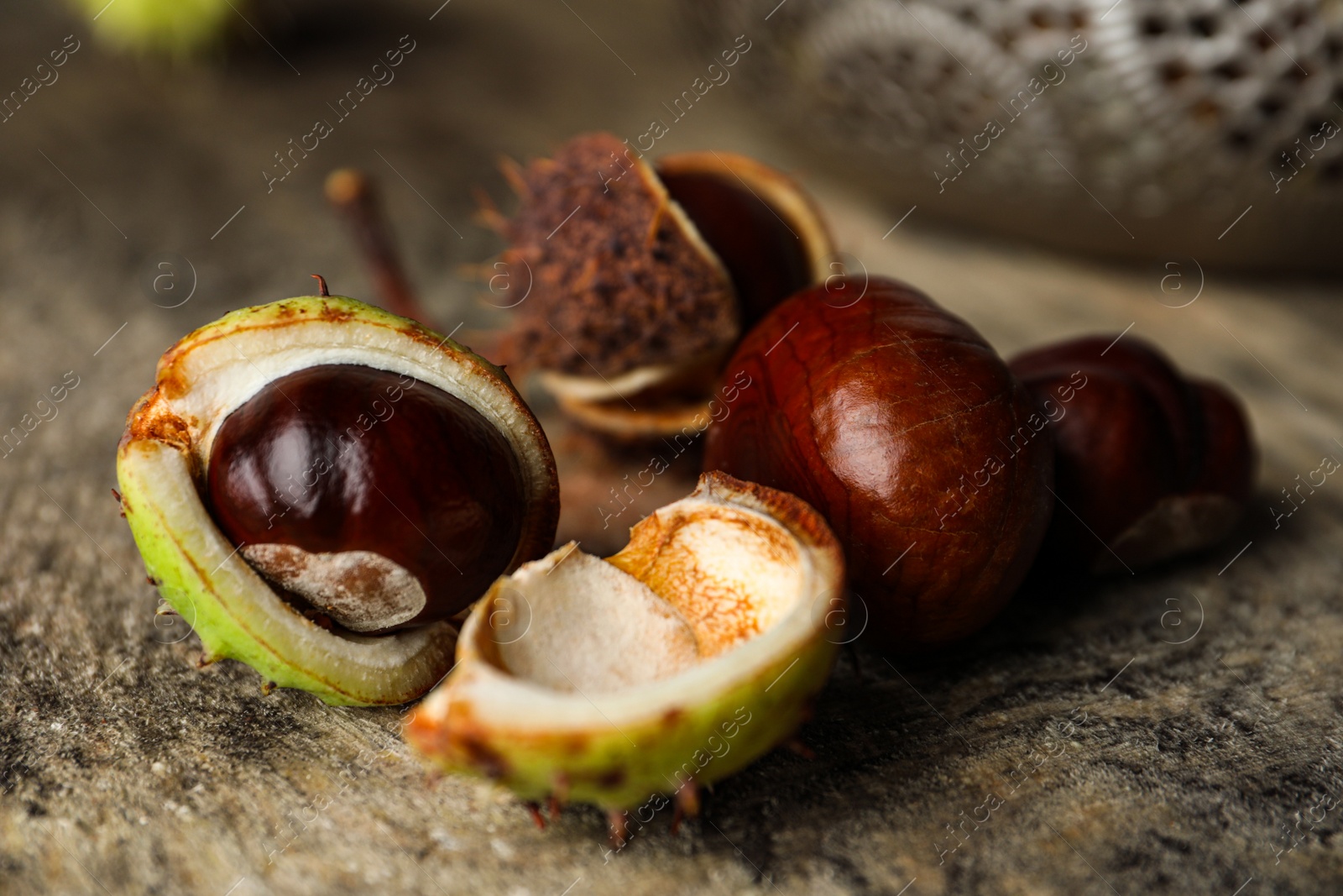 Horse chestnuts on wooden table, closeup view Photo of Horse chestnuts on wooden table, closeup view
