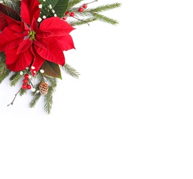 Flat lay composition with beautiful poinsettia on white background, space for text. Christmas traditional flower Photo of Flat lay composition with beautiful poinsettia on white background, space for text. Christmas traditional flower