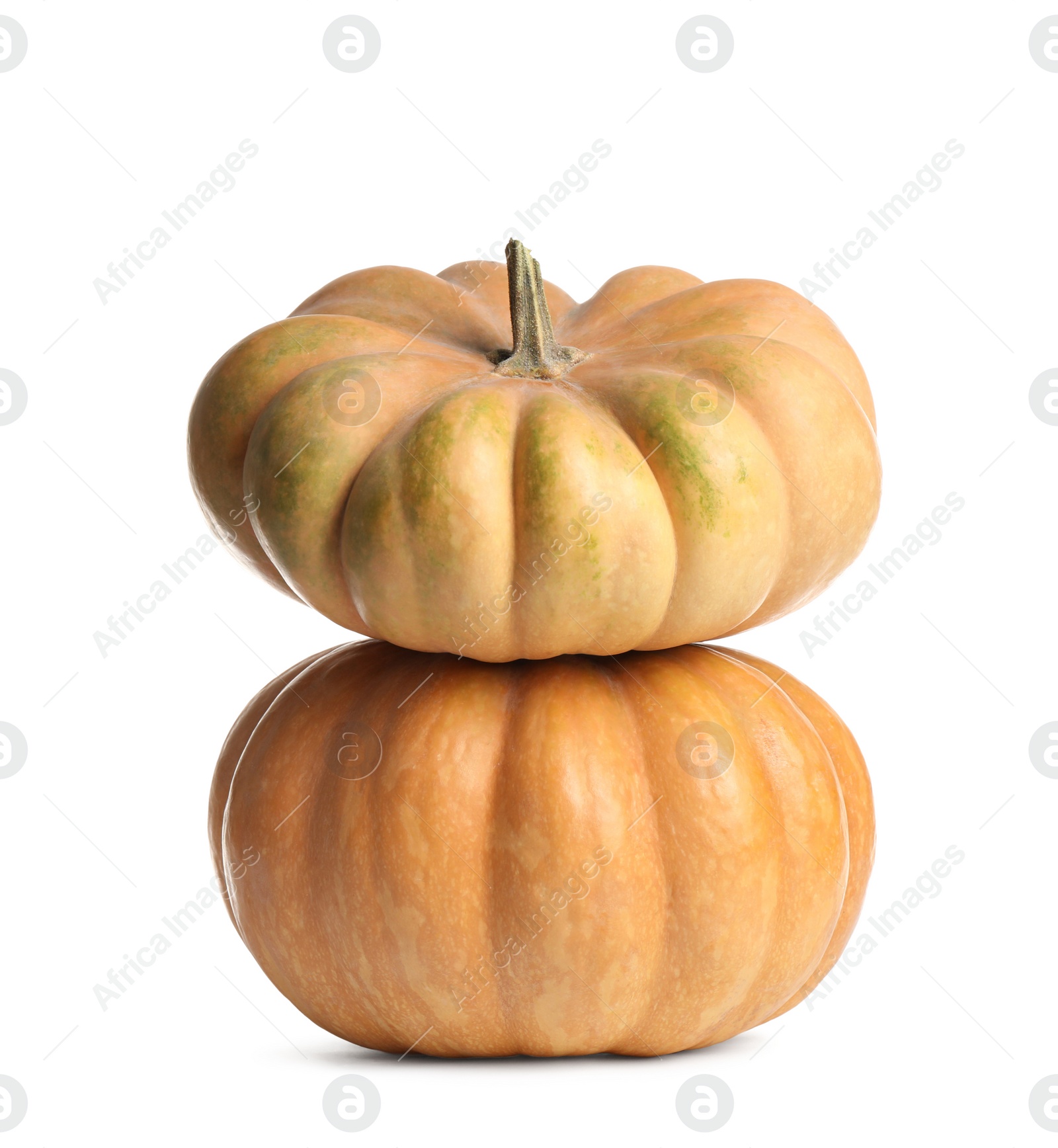 Fresh ripe pumpkins isolated on white background. Autumn season Photo of Fresh ripe pumpkins isolated on white background. Autumn season