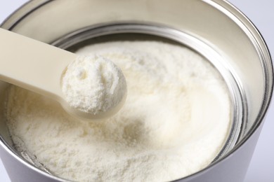 Scoop of powdered infant formula over can, closeup. Baby milk Photo of Scoop of powdered infant formula over can, closeup. Baby milk