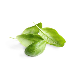 Photo of Fresh green basil leaves isolated on white