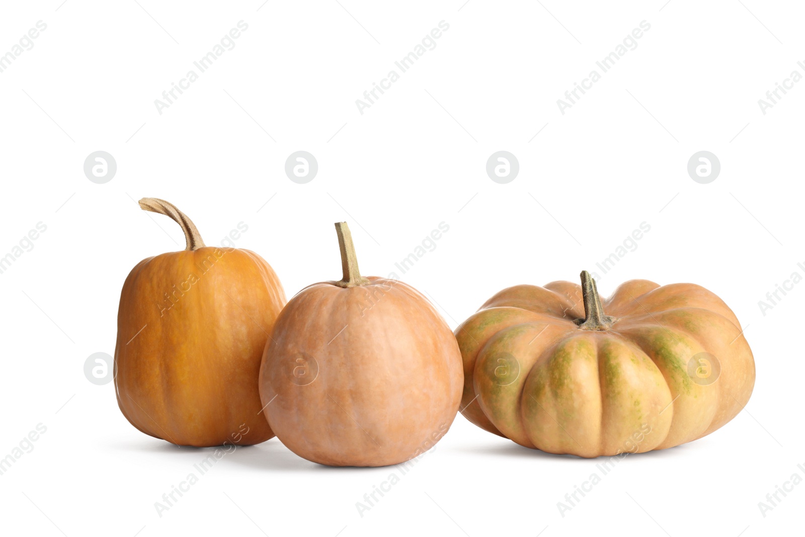 Photo of Fresh ripe pumpkins isolated on white background. Autumn season