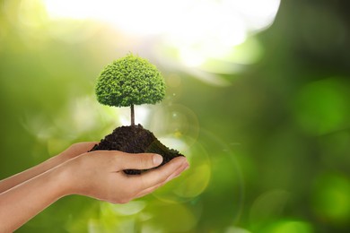 Woman holding pile of soil with small tree on blurred green background, closeup. Eco friendly lifestyle Image of Woman holding pile of soil with small tree on blurred green background, closeup. Eco friendly lifestyle