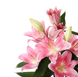 Photo of Beautiful pink lily flowers on white background