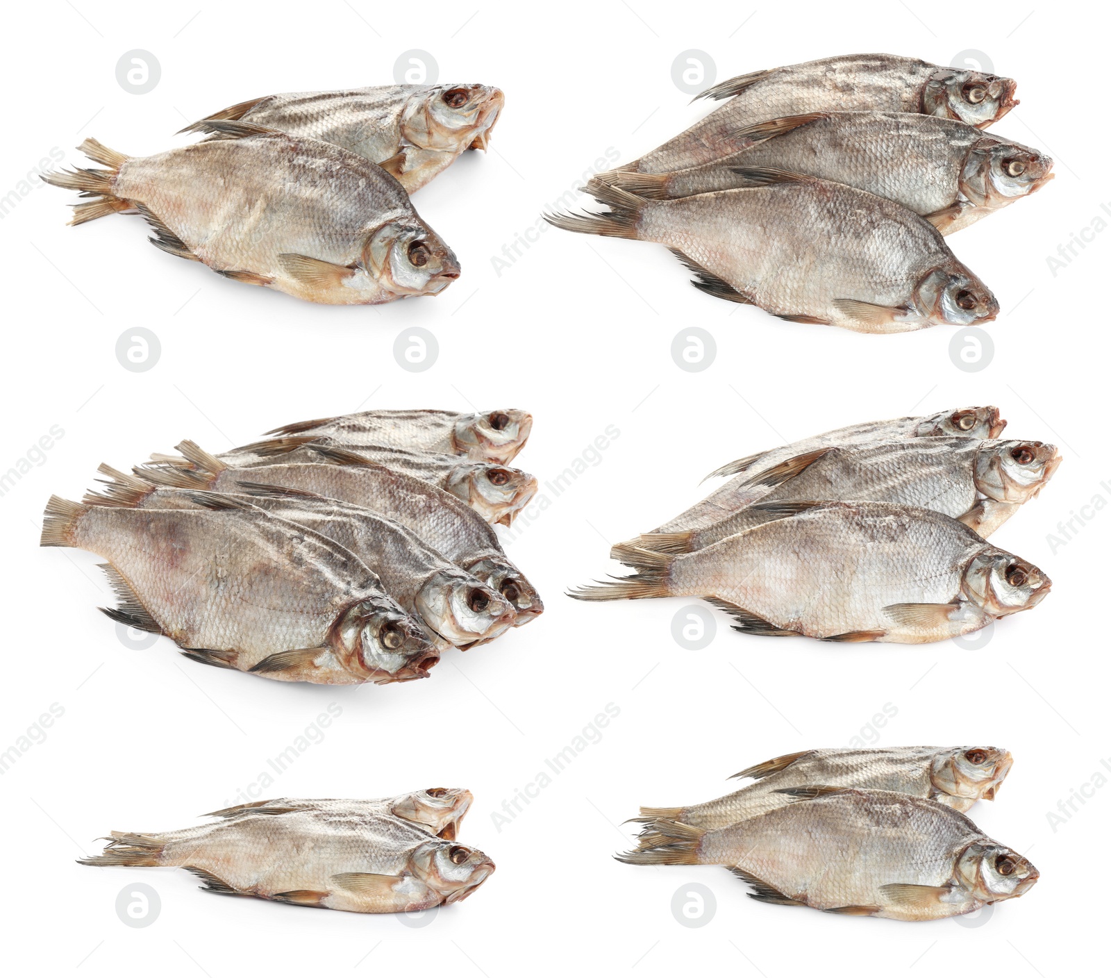 Set of tasty dry fish on white background Image of Set of tasty dry fish on white background