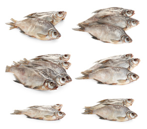 Set of tasty dry fish on white background Image of Set of tasty dry fish on white background