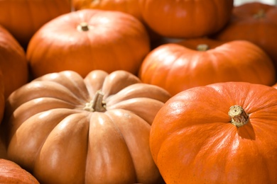 Many ripe orange pumpkins as background, closeup Photo of Many ripe orange pumpkins as background, closeup
