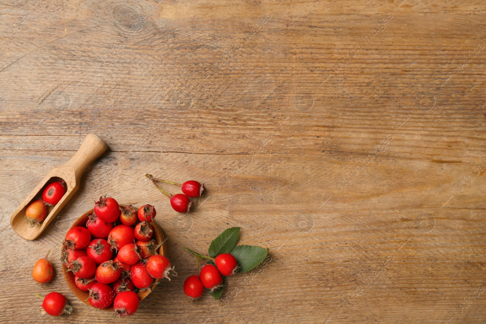 Ripe rose hip berries with green leaves and scoop on wooden table, flat lay. Space for text Photo of Ripe rose hip berries with green leaves and scoop on wooden table, flat lay. Space for text