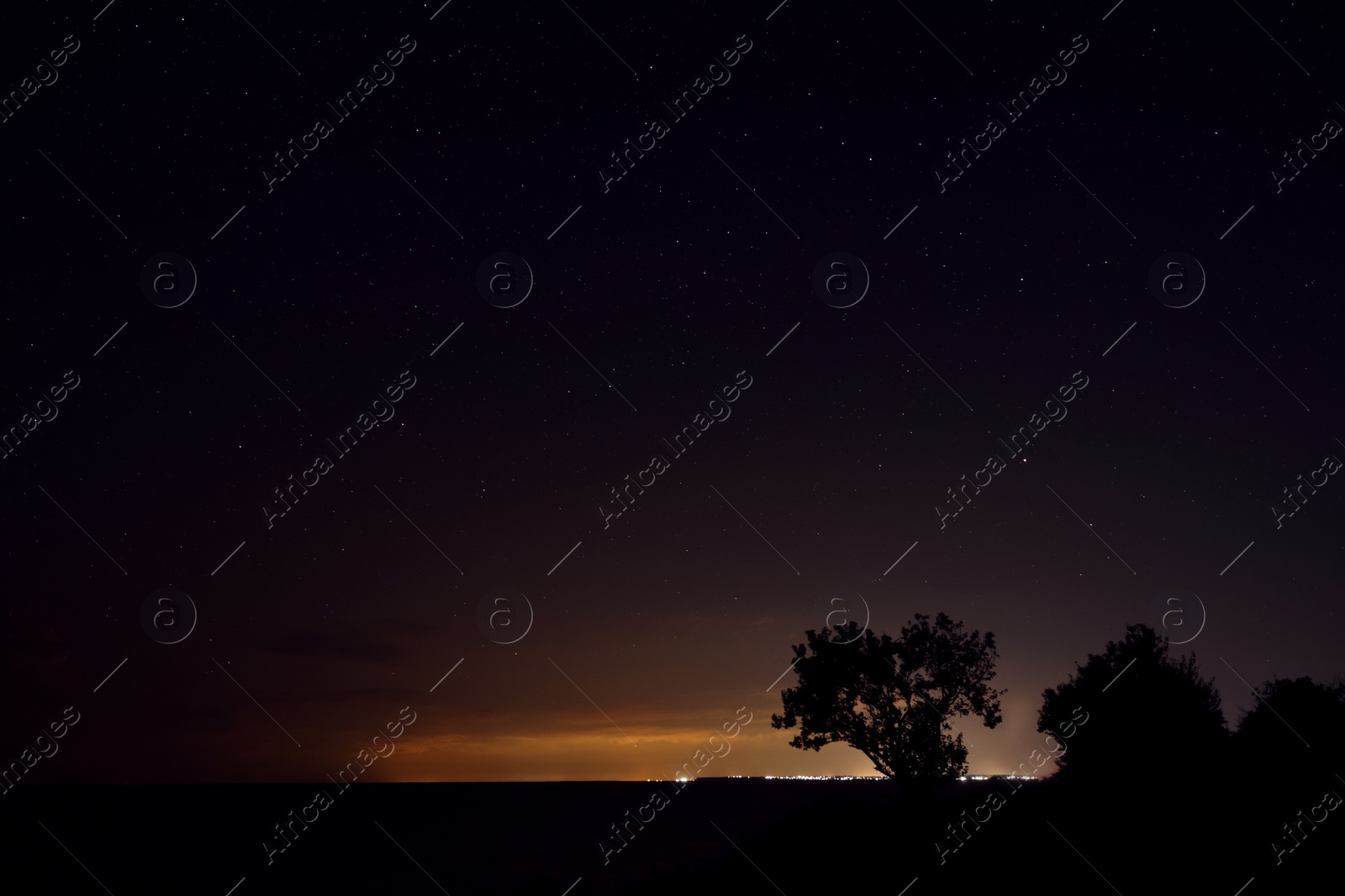 Picturesque view of starry sky at night on seaside Photo of Picturesque view of starry sky at night on seaside