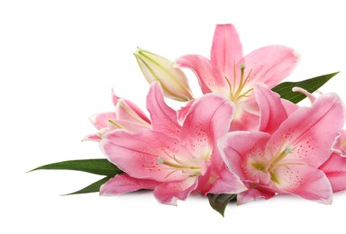 Photo of Beautiful pink lily flowers on white background