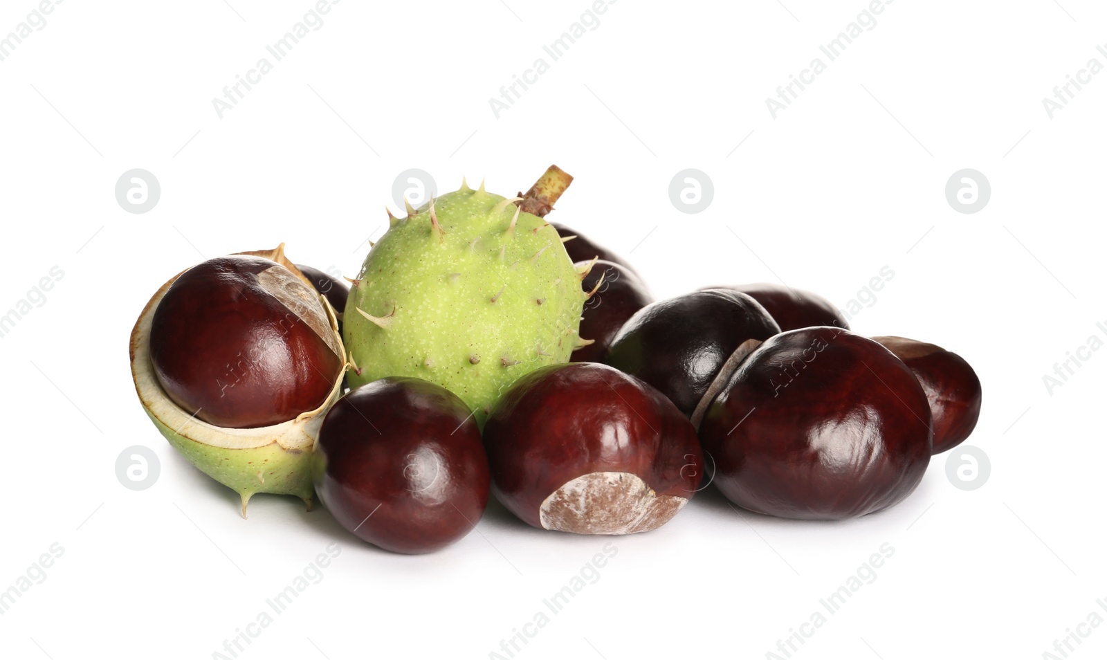 Pile of horse chestnuts isolated on white Photo of Pile of horse chestnuts isolated on white