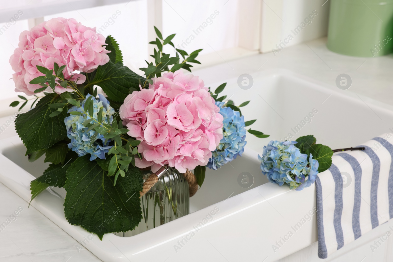 Vase with beautiful hortensia flowers in kitchen sink Photo of Vase with beautiful hortensia flowers in kitchen sink