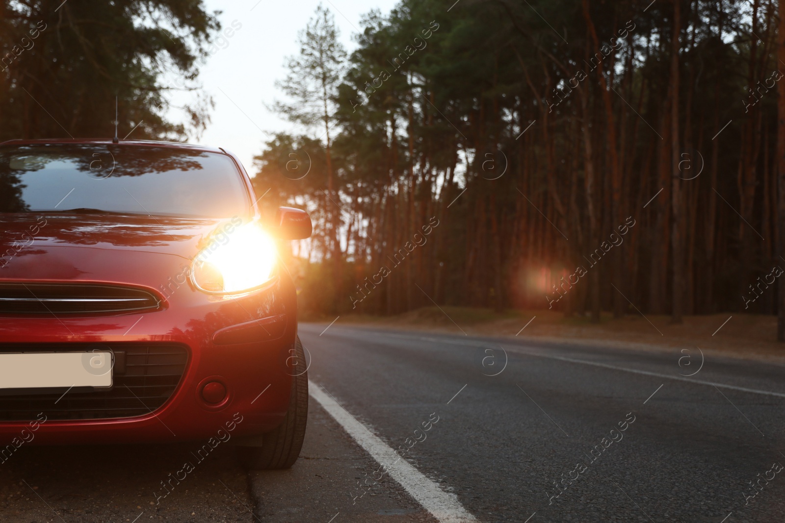 Red car parked near forest. Road trip Photo of Red car parked near forest. Road trip