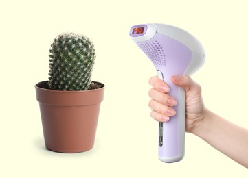 Hair removal concept. Cactus and woman holding modern photoepilator on white background, closeup Image of Hair removal concept. Cactus and woman holding modern photoepilator on white background, closeup