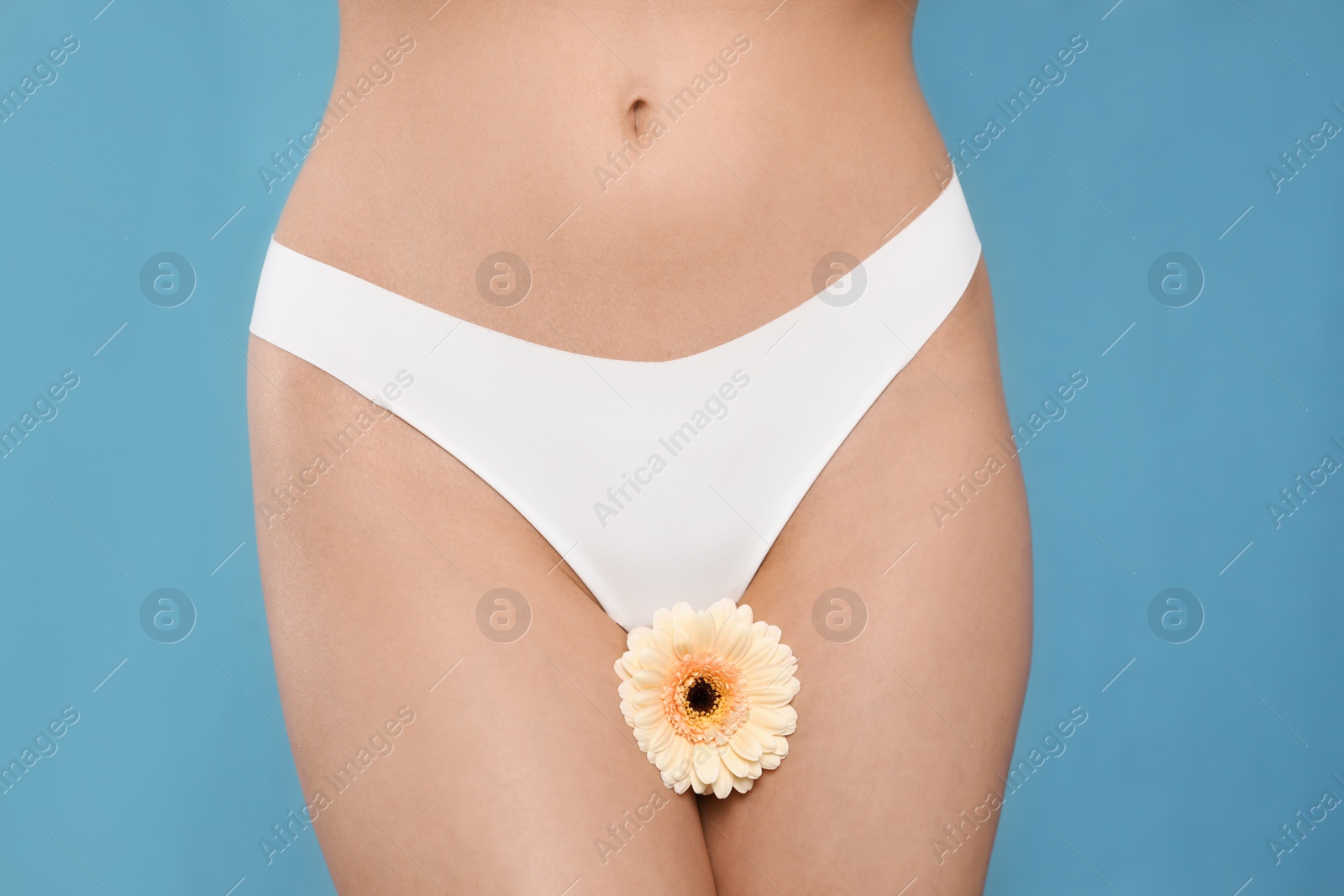Woman in white panties with gerbera flower on light blue background, closeup Photo of Woman in white panties with gerbera flower on light blue background, closeup