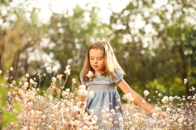 Cute little girl outdoors on sunny day. Child spending time in nature Photo of Cute little girl outdoors on sunny day. Child spending time in nature