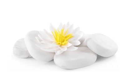 Beautiful lotus flower and stones on white background Photo of Beautiful lotus flower and stones on white background